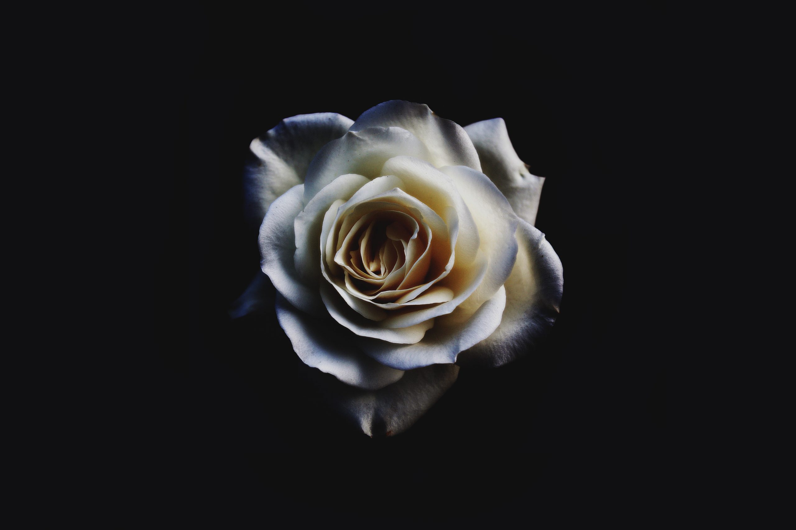 sebastian-molina-fotografia-natjj0CTa-s-unsplash copie
