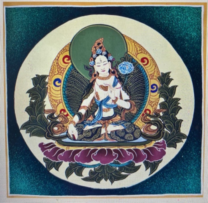 tara-moyenne.adb
